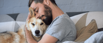 Câlin chien